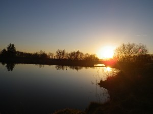Sun set at Pendreich