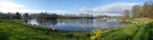Panoramic view of Swanswater in the spring