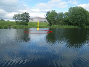 Where the fish were