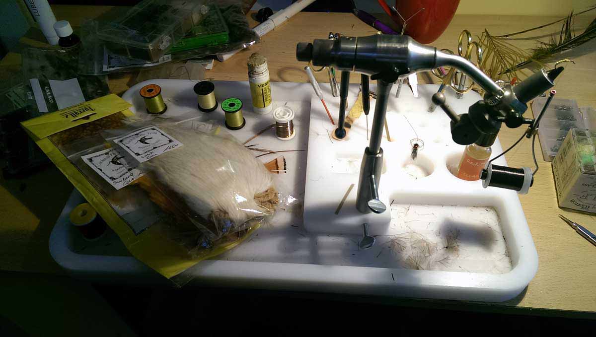 The Fly Tidy