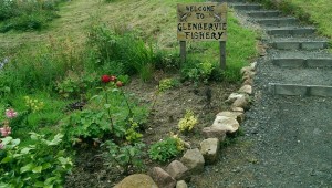 Glenbervie flowerbed