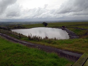 Bait pond view