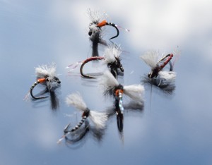 Split wing dries
