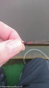 B 47 Variant nymph