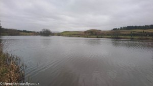 Grey at Orchil