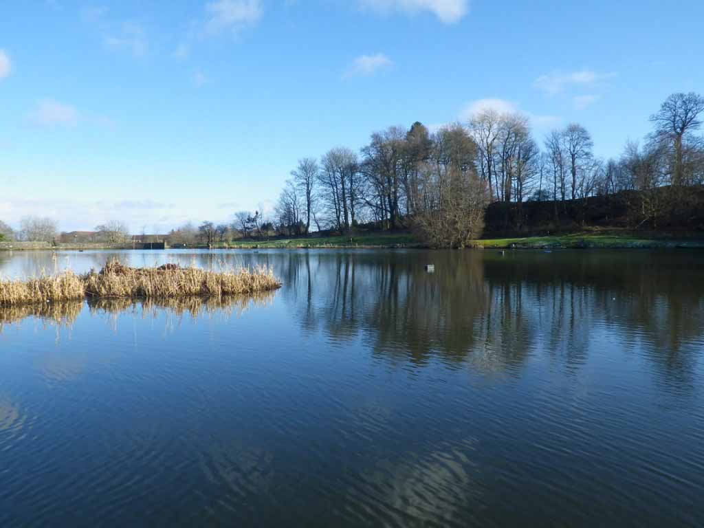 Swanswater