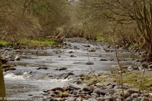 Lower Carron Glen
