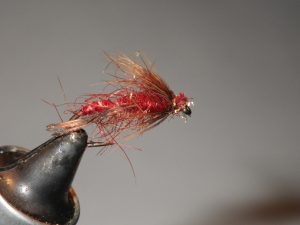 Hackle and head
