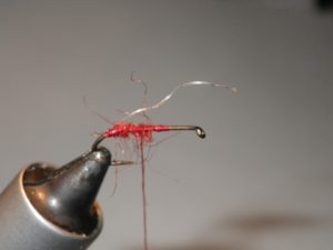 The red pattern was tied with Red thread, silver tinsel rib and a red seals fur dubbed body.