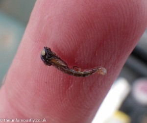 Buzzer on finger