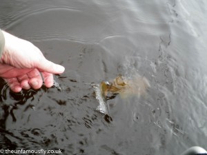 Brownie released