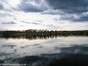 Still water with fish rising
