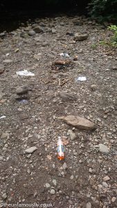 Rubbish left for others to collect