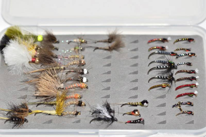 Win a box of flies