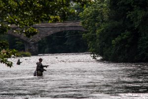 Anglers on the Clyde