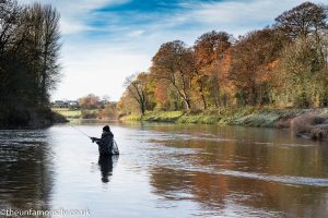 Angler on the Annan