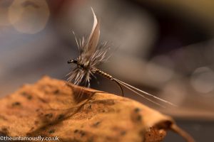 Dry fly
