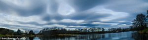Swanswater skies