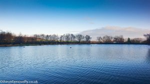 The island on the left of Swanswater