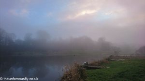 Foggy fishing