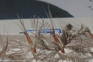 Italian Dry Fly by Sandro Ghilardi