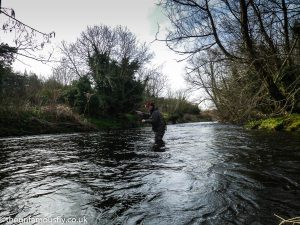 Fishing spiders