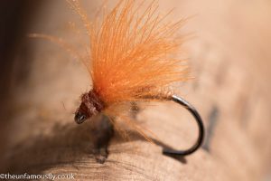 Ginger CDC