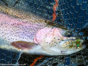 The Damsel was a popular flie with the Rainbows