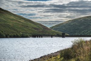 Frandy trout fishery