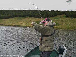 Into a trout at frandy