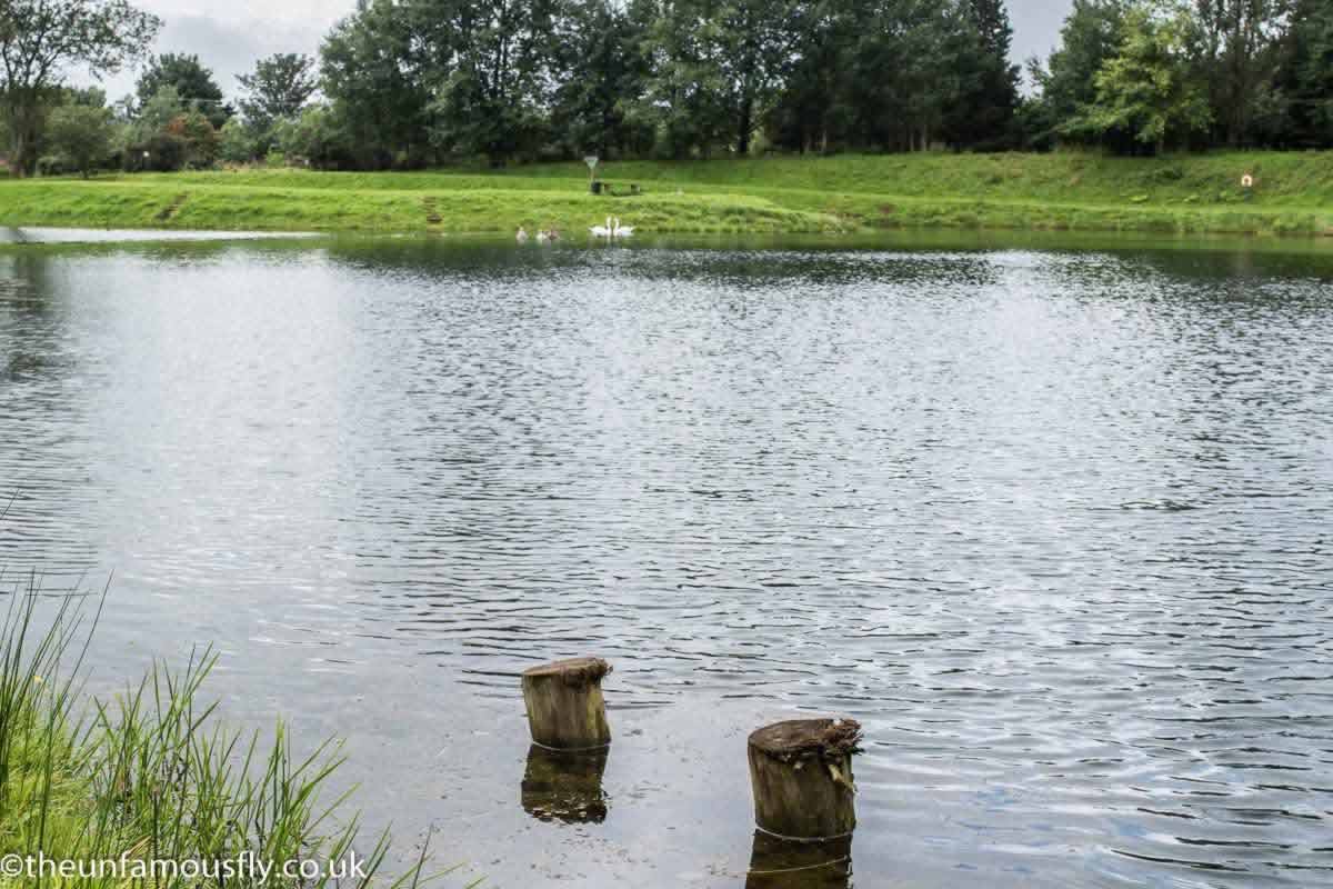 Green Frog Trout Fishery, Moffat