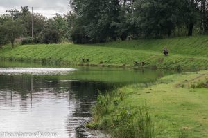 Angler stalking at Green Frog