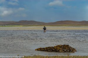 Sea trout fishing