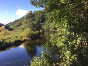 The Tweed