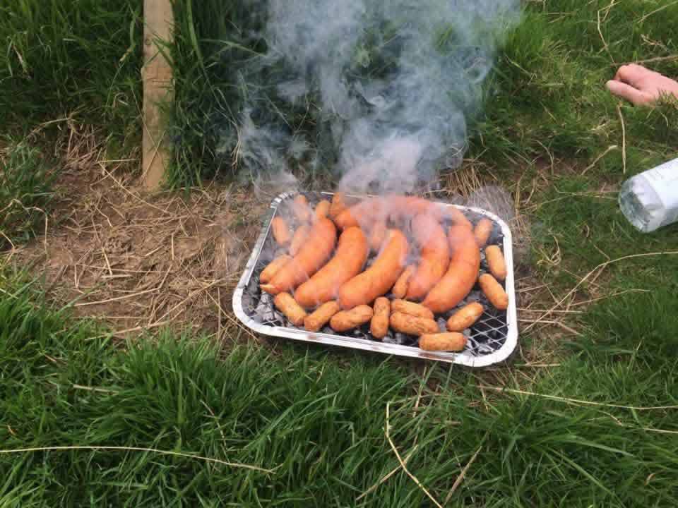 Tweed, Polish Sausage and Friends
