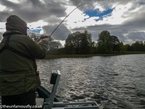 Round the back Rainbow