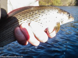 Clyde Grayling