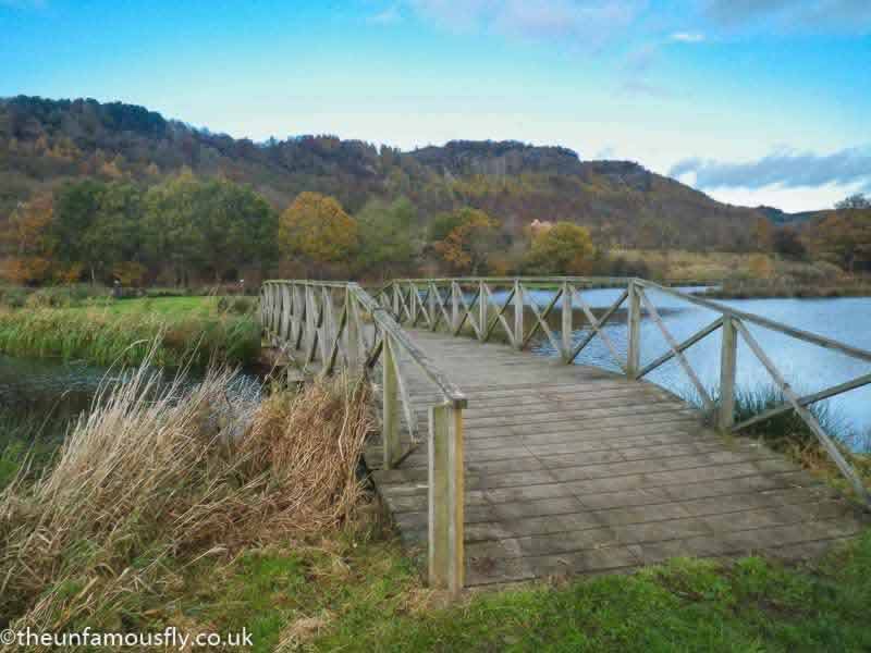 Willowgate Trout Fishery