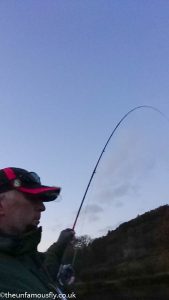 Fish on