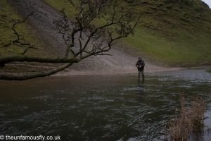 Dove fly angler