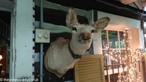 Deer head