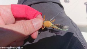 A crab fly