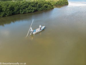 The mangrove margins