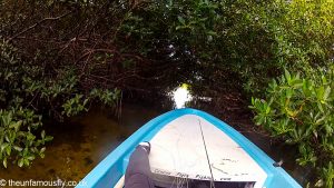 Gaps in the jungle
