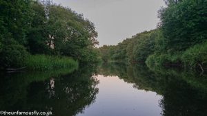 Downstream view