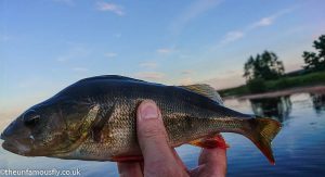 A bigger Perch