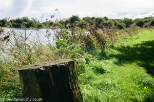 Kinross Trout Fishery
