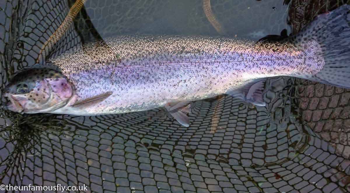 Rainbow from the ponds at Swanswater