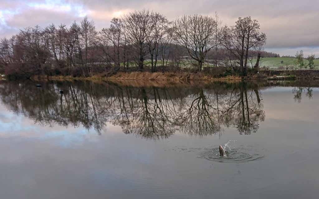 Winter’s first showing