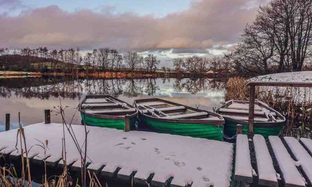 Swanswater Trout Fishery